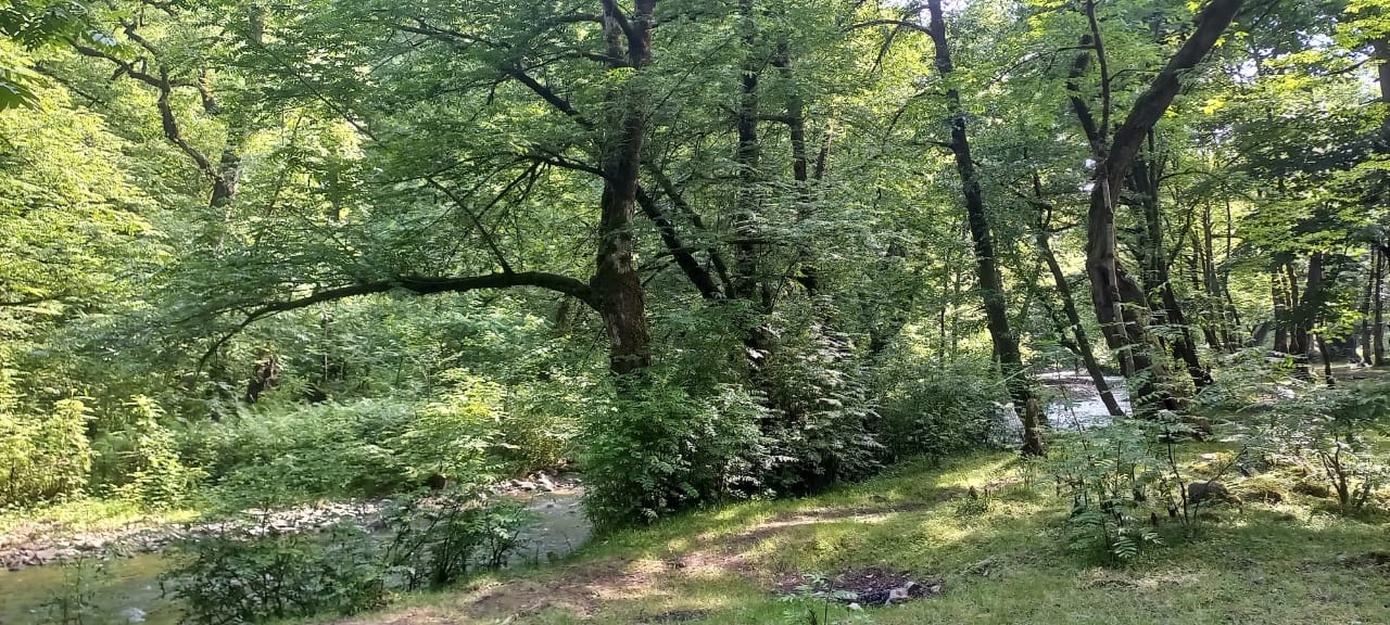 ویلا در وشمه سرا ماسال - خاطره