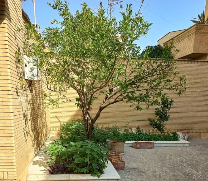 اجاره منزل مبله در فرهنگ شهر - دوخواب