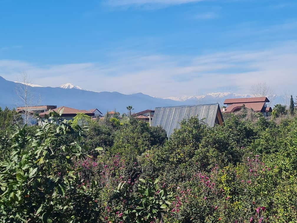 اجاره کلبه سوئیسی در نمک آبرود
