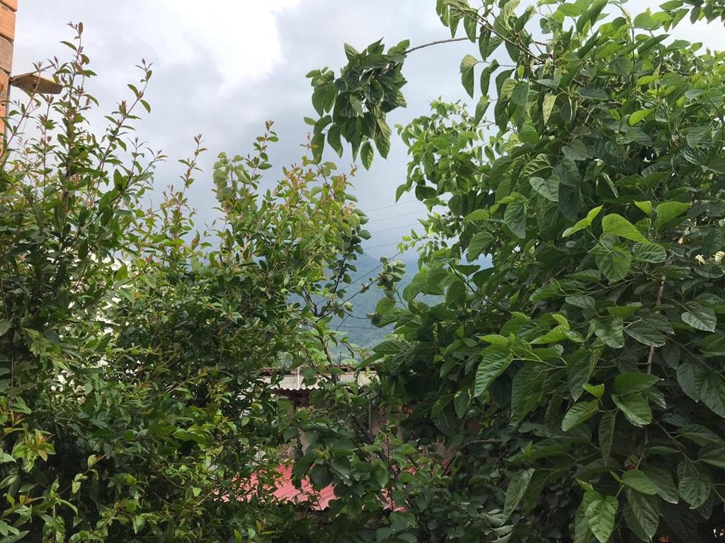 اجاره ویلا یک خواب  در کردآباد علی آباد کتول -همکف