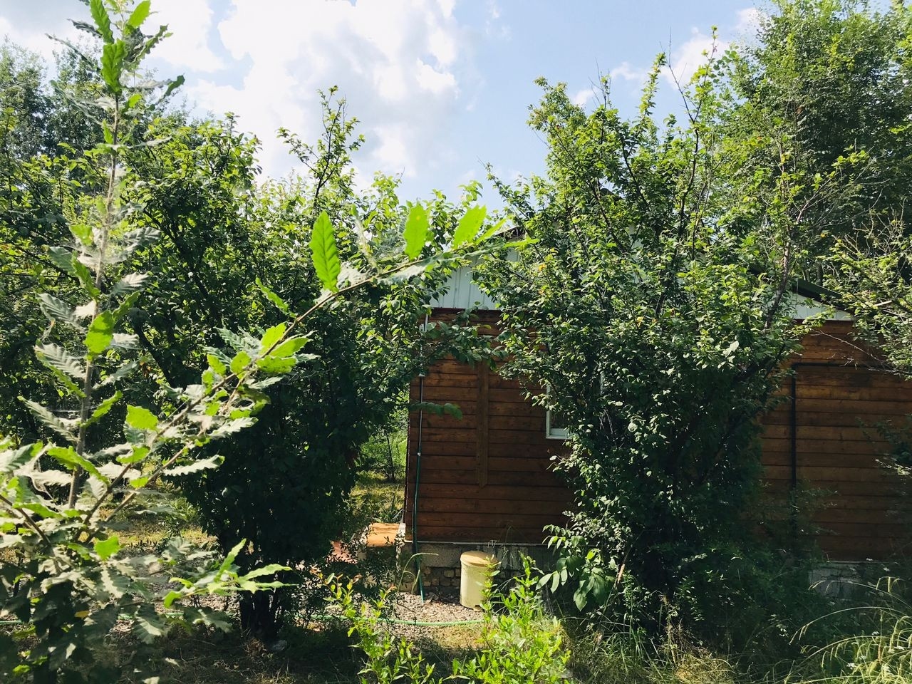 اجاره کلبه چوبی در روستای درخانه ماسال