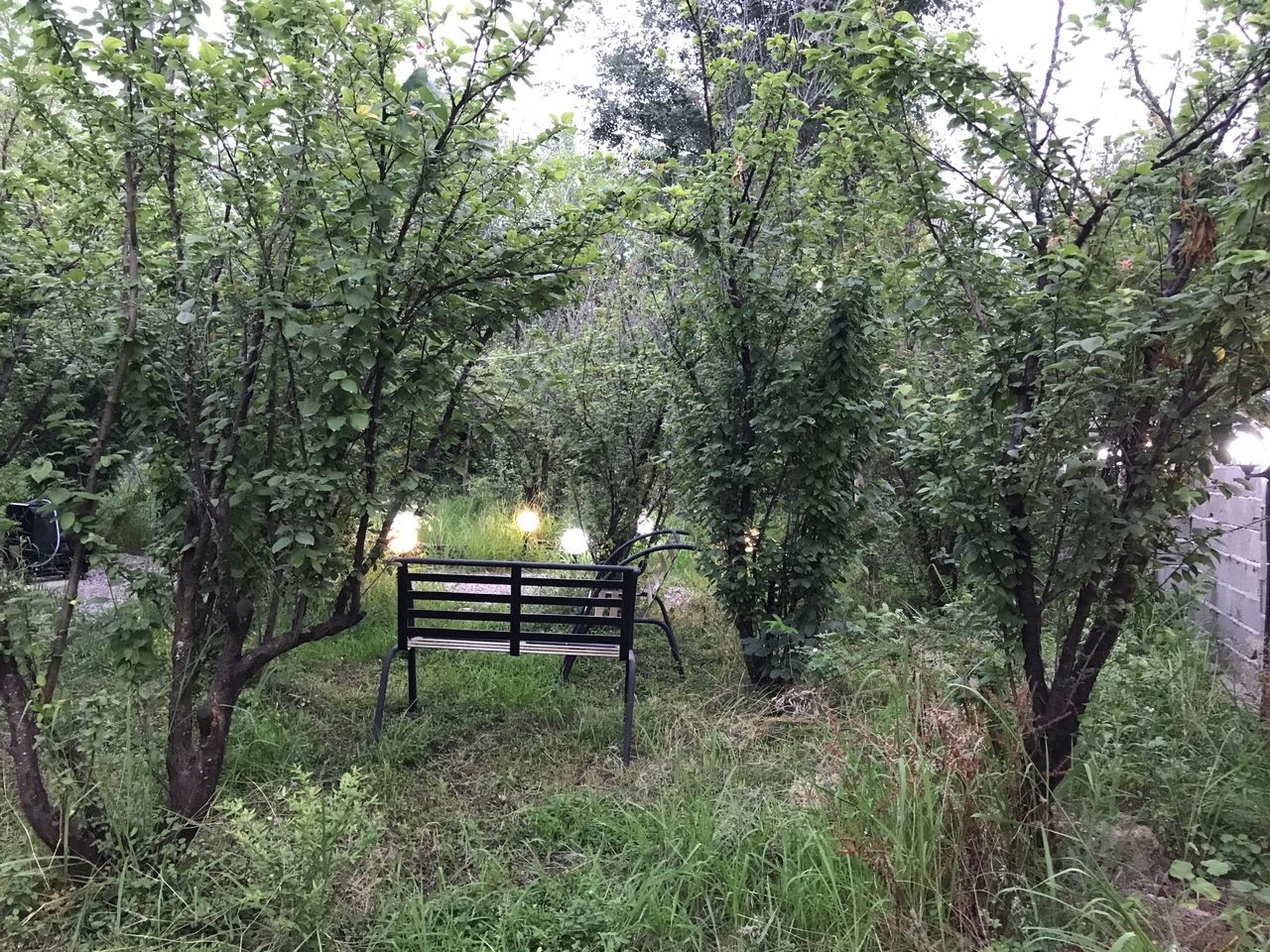 اجاره کلبه چوبی در روستای درخانه ماسال