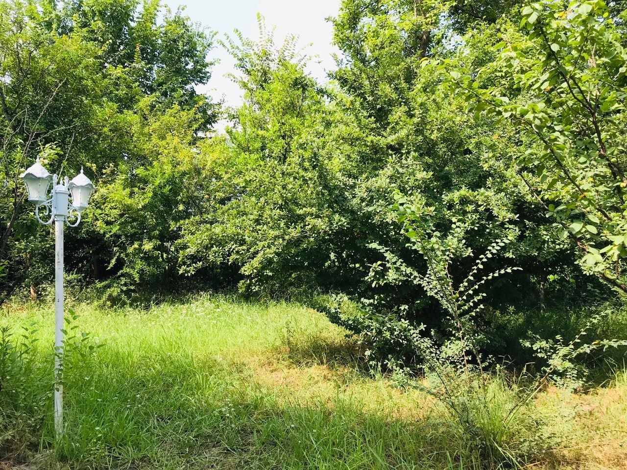 اجاره کلبه چوبی در روستای درخانه ماسال