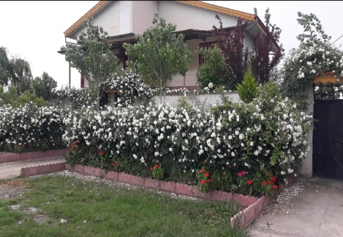 اجاره ویلا در روستای تازه آباد مرزیان - سیاهکل