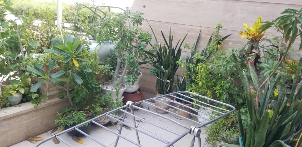 اجاره آپارتمان نزدیک ساحل در خیابان مرجان کیش