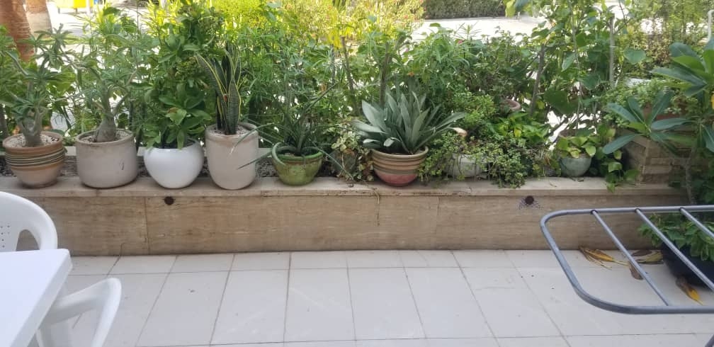 اجاره آپارتمان نزدیک ساحل در خیابان مرجان کیش