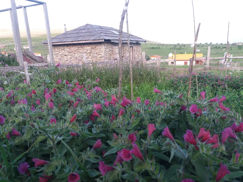 اجاره کلبه در ییلاقات سوباتان تالش