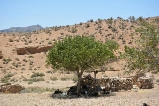 اجاره کلبه سنتی در فسا-کلبه1