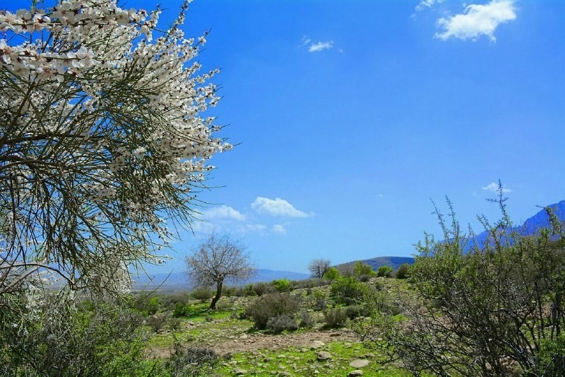 اجاره کلبه سنتی در فسا-کلبه1