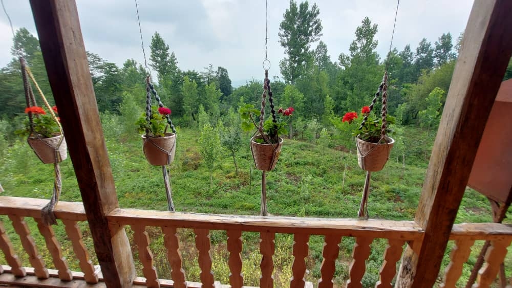 اجاره کلبه چوبی در روستا کار در کلا شیرگاه - 100 متری