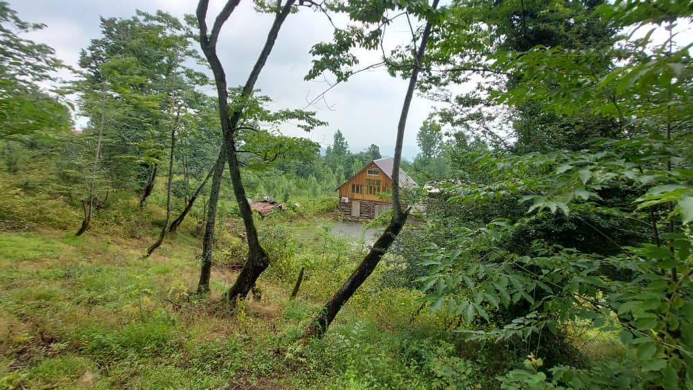 اجاره کلبه چوبی در روستا کار در کلا شیرگاه - 100 متری