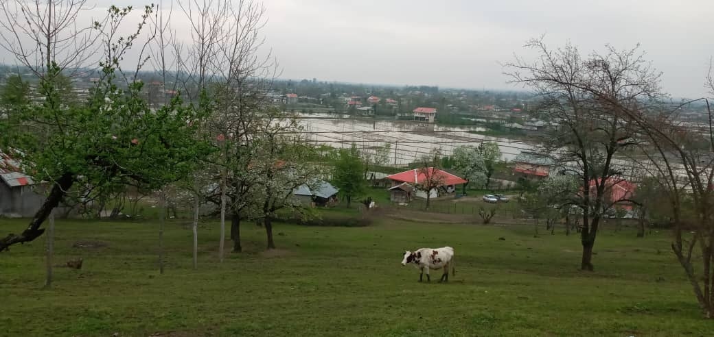 اجاره باغ و ویلا در وشمه سرای ماسال