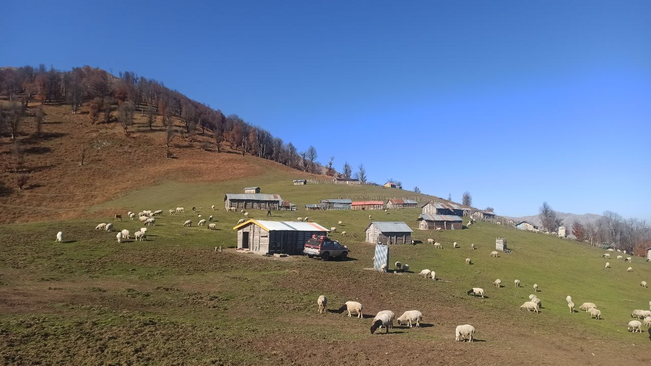 اجاره کلبه چوبی در ییلاقات شاندرمن ماسال - بلوط