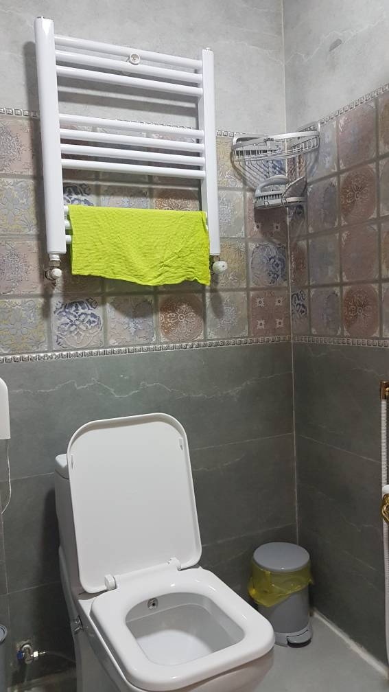 بومگردی جنگلی در روستای توتکی سیاهکل - واحد شوکا