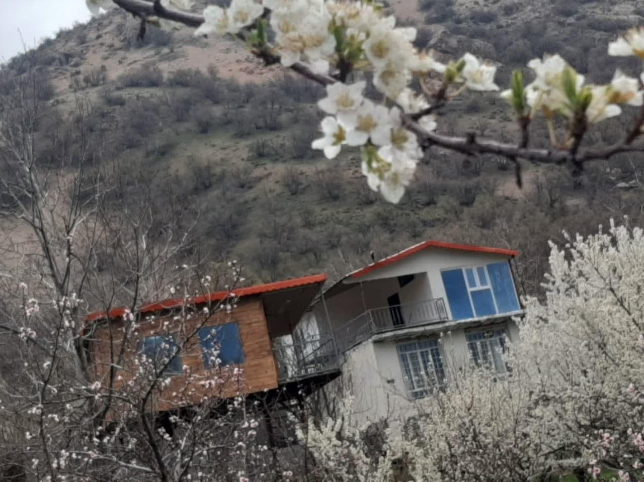 اجاره کلبه درختی در روستا بیاره سی سخت - یاسوج