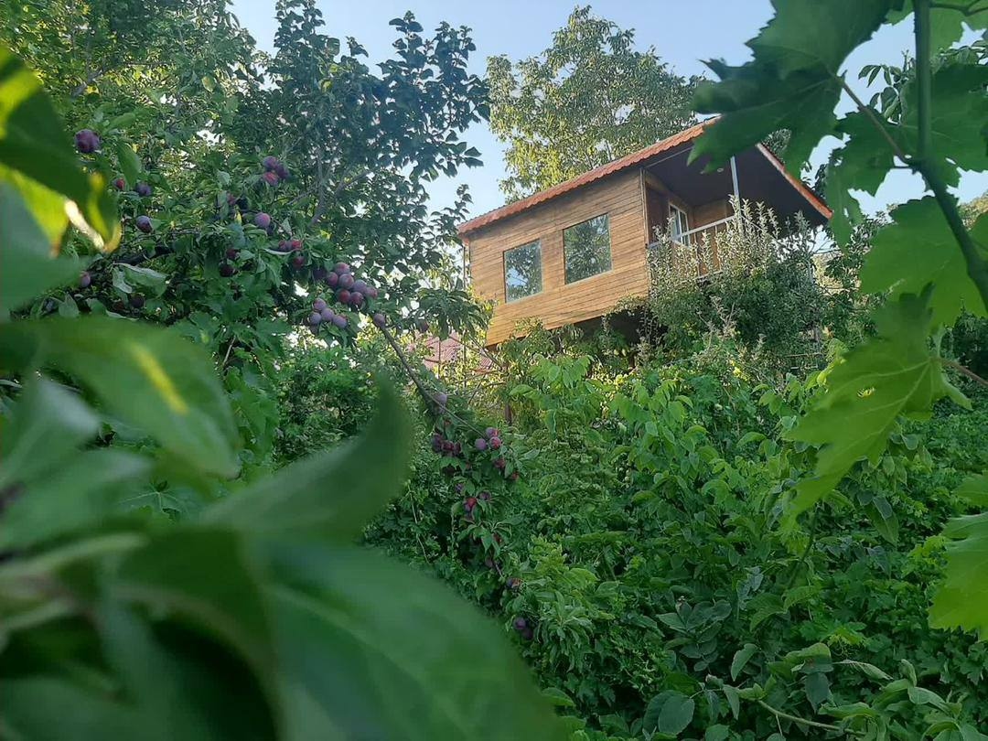 اجاره کلبه درختی در روستا بیاره سی سخت - یاسوج