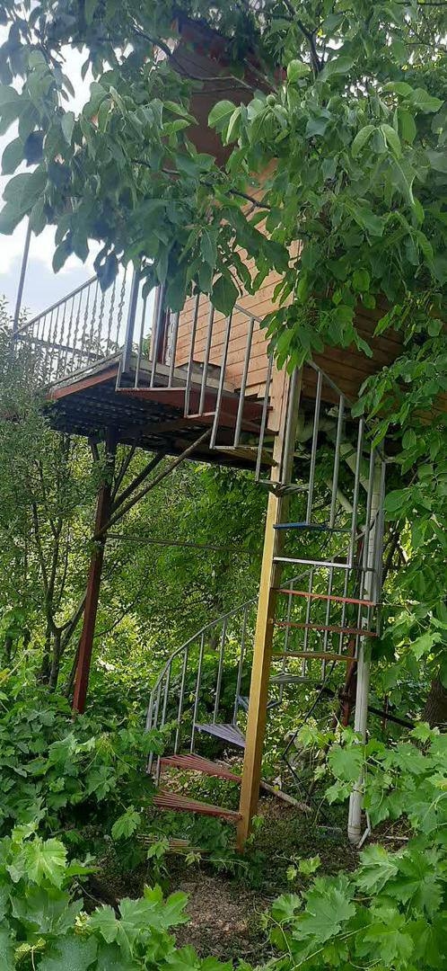 اجاره کلبه درختی در روستا بیاره سی سخت - یاسوج