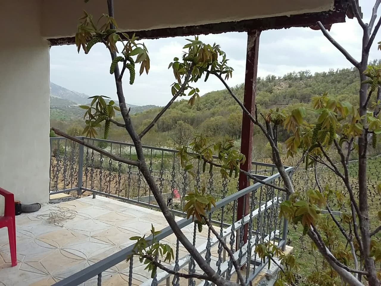 اجاره ویلا باغ در بیاره سیسخت - اتاق شیشه ای