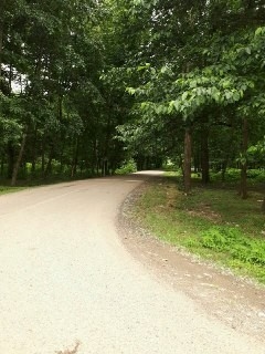 اجاره ویلادربست تمیز در ماسال