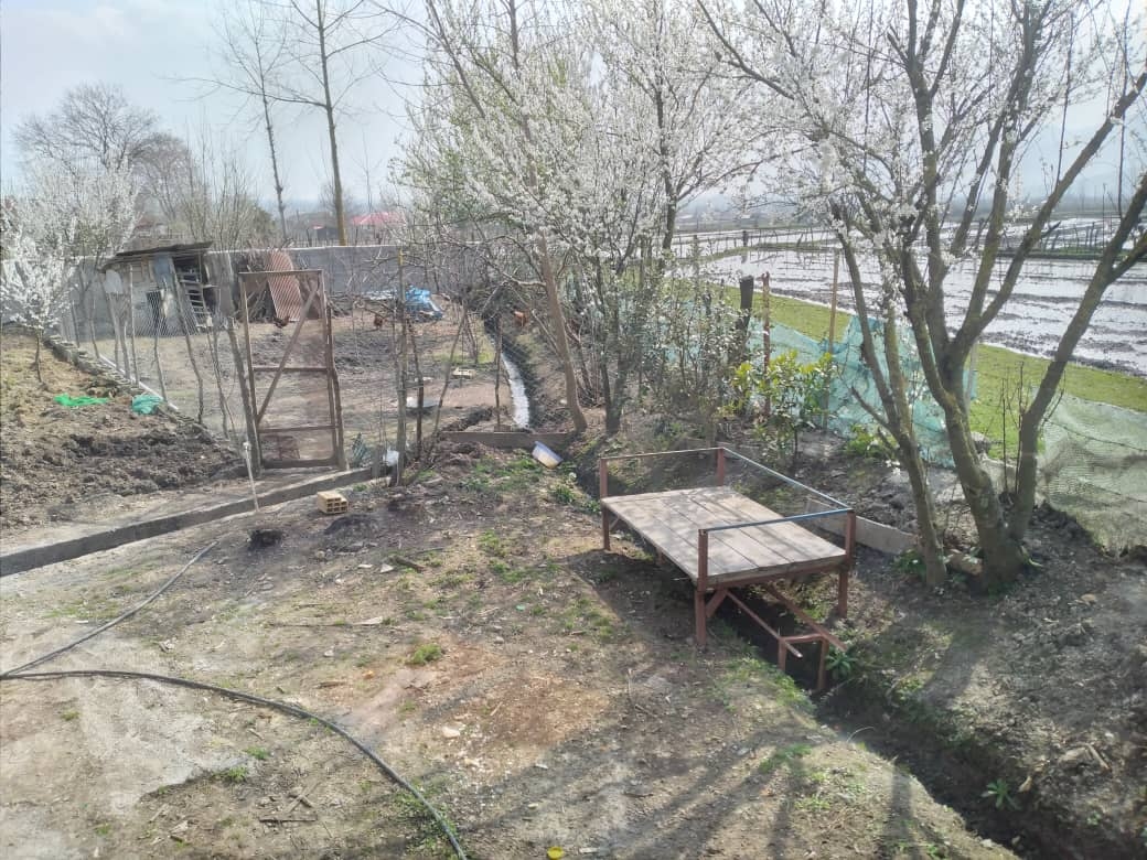 اجاره خانه مبله ارزان در ماسال 