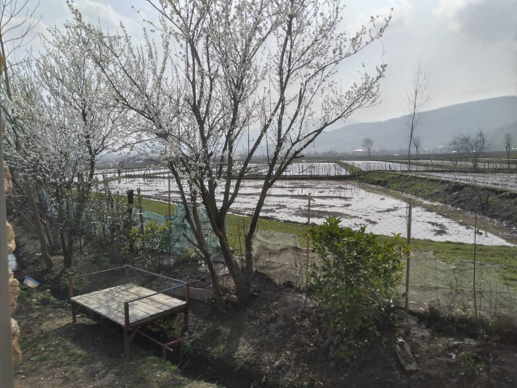 اجاره خانه مبله ارزان در ماسال 