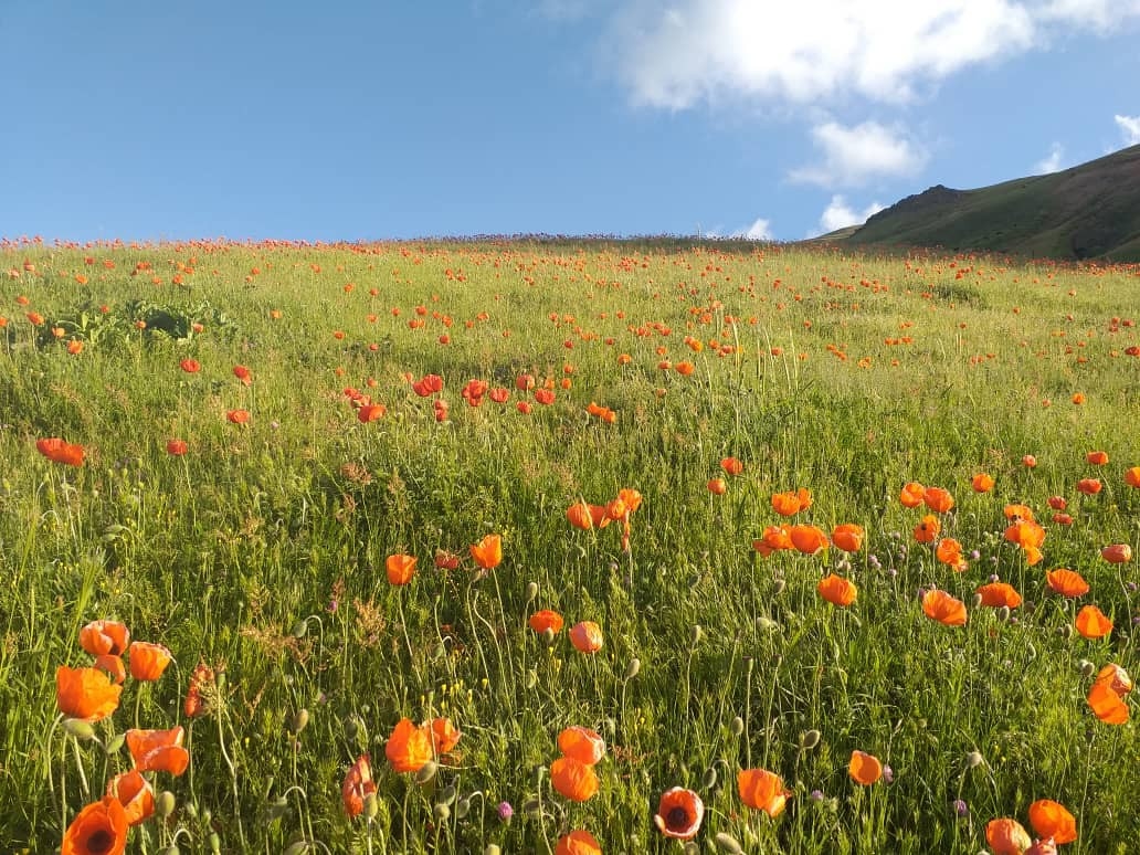 اجاره سوئیت کوهستانی ییلاقی در سوباتان - آبشار ورزان