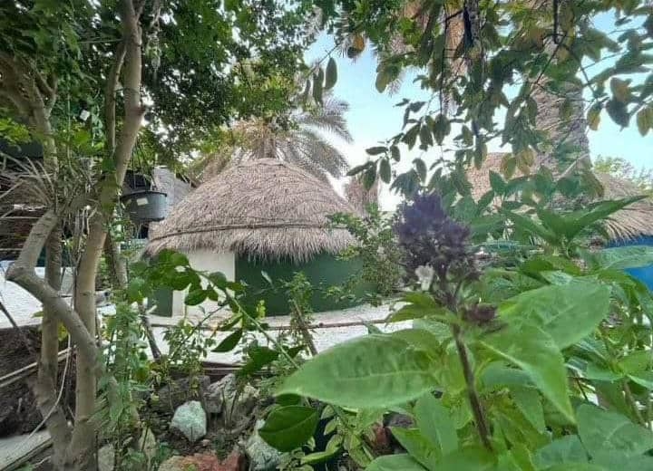 اجاره اتاق در جزیره هرمز - ماجرا رنگی