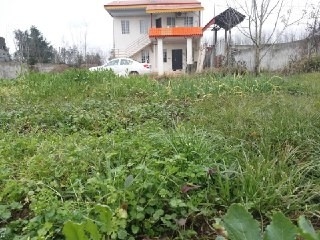 اجاره ویلا جنگلی تمیزدرخمام