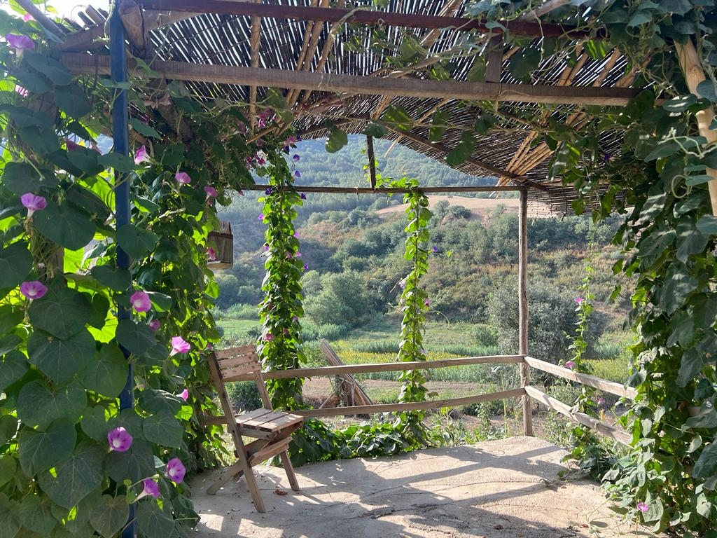 اجاره بومگردی جنگلی یک خوابه در کلاله گلستان - VIP