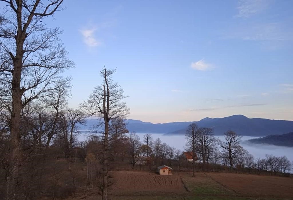 اجاره ویلا جنگلی در روستا افراتخته - کوروش