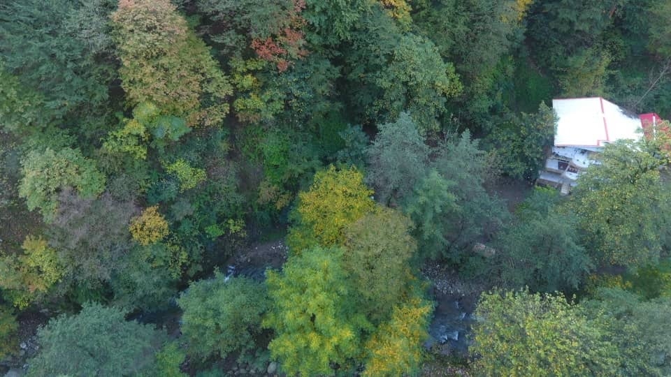 اجاره ویلا جنگلی درروستای گیجاب اسالم - 2 خواب