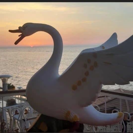 اجاره کلبه چوبی در آزادی - واحد 19