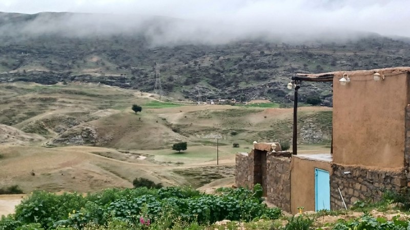 اجاره اتاق بومگردی40 متری در اندیکا - واحد 2