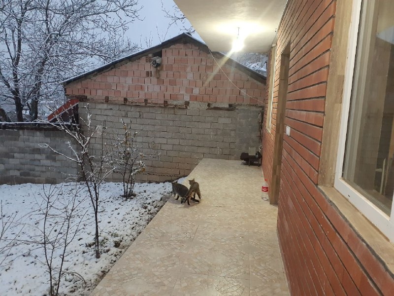 اجاره خانه ویلایی در ییلاق مازندران  روستای دادوکلا ساری - مهربانی