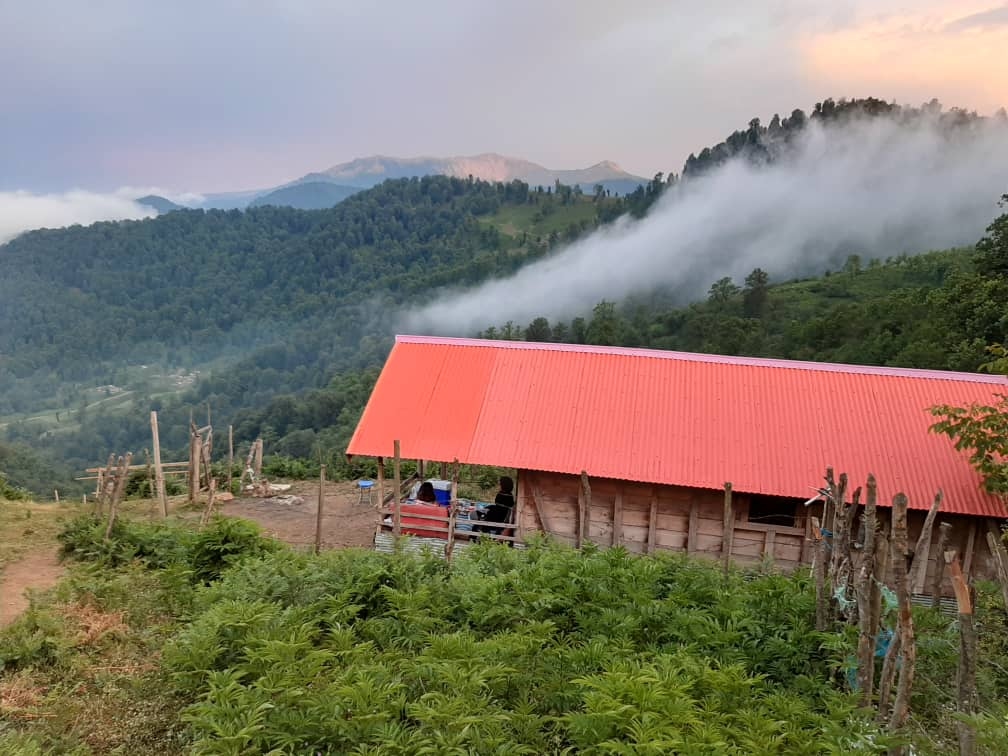 اجاره کلبه چوبی جنگلی در اولسبلنگاه