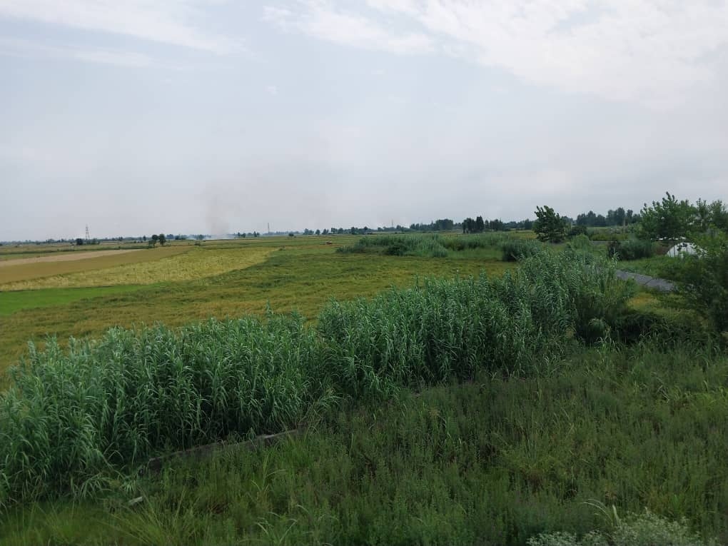 اجاره ویلا دوبلکس با استخرسرپوشیده آبگرم در سرخرود