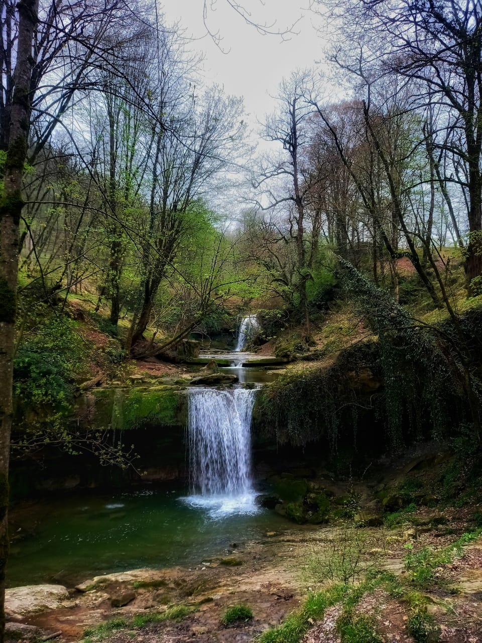 اجاره ویلا جنگلی در روستای ممرزکن بابل