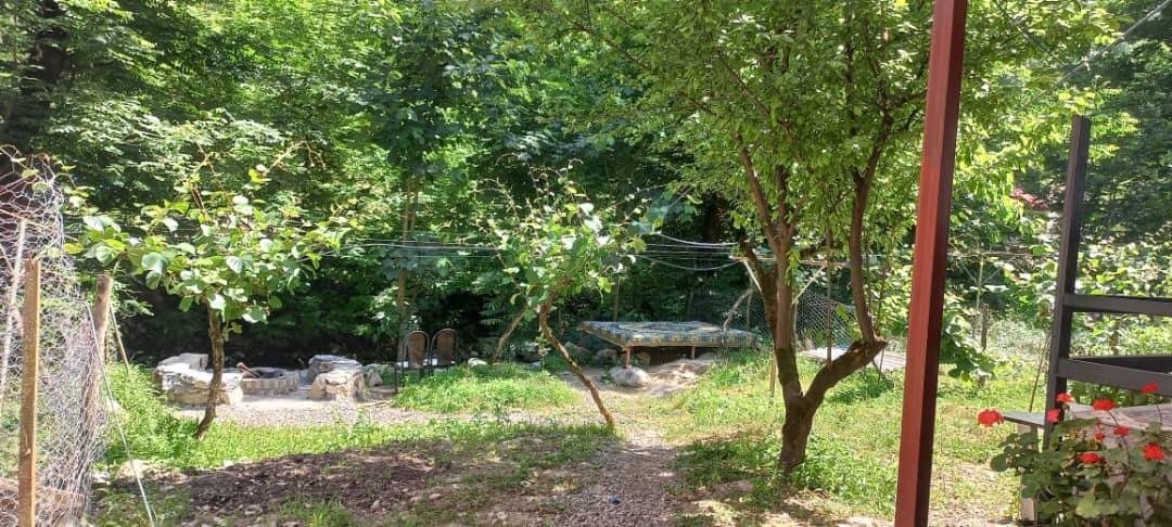 اجاره ویلا جنگلی لب رودخانه در روستای گیجاو اسالم - تالش
