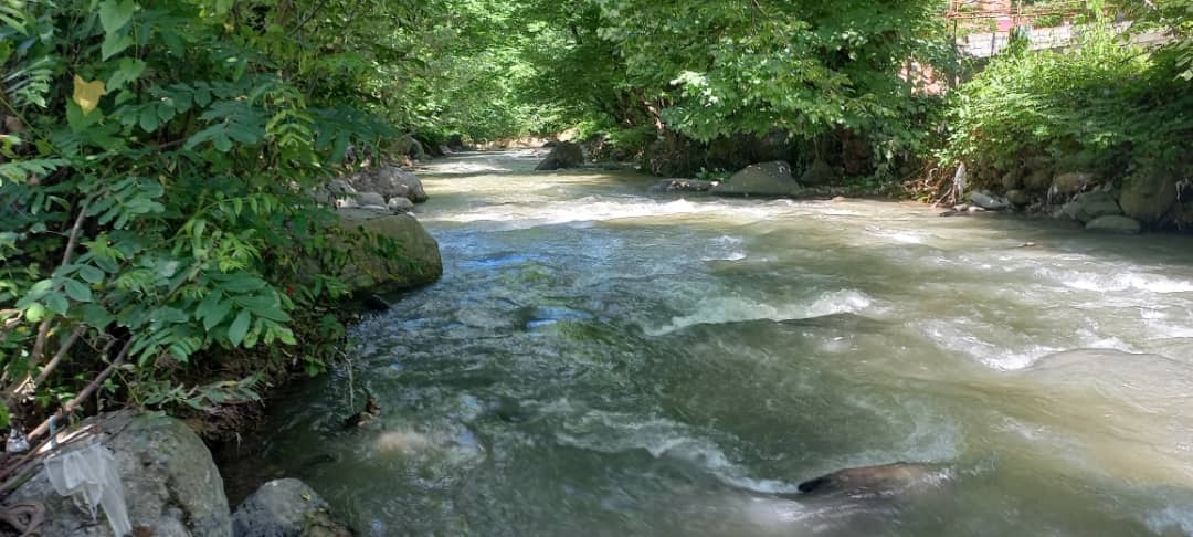 اجاره ویلا جنگلی لب رودخانه در روستای گیجاو اسالم - تالش