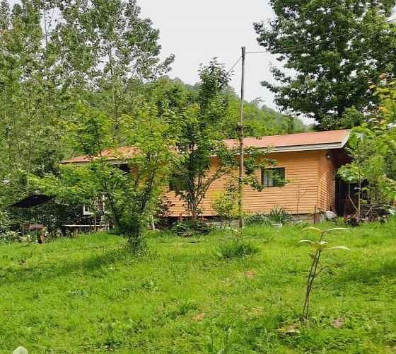 اجاره کلبه چوبی جنگلی در سیاه دول - کلبه 1