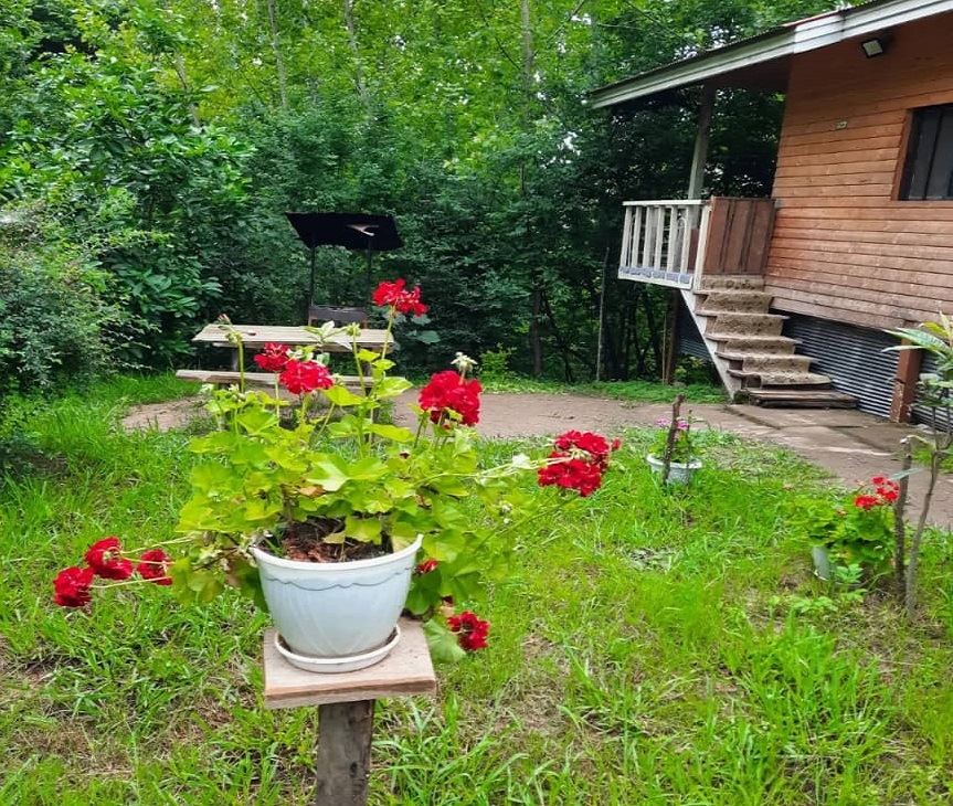 اجاره کلبه چوبی جنگلی در سیاه دول - کلبه 1