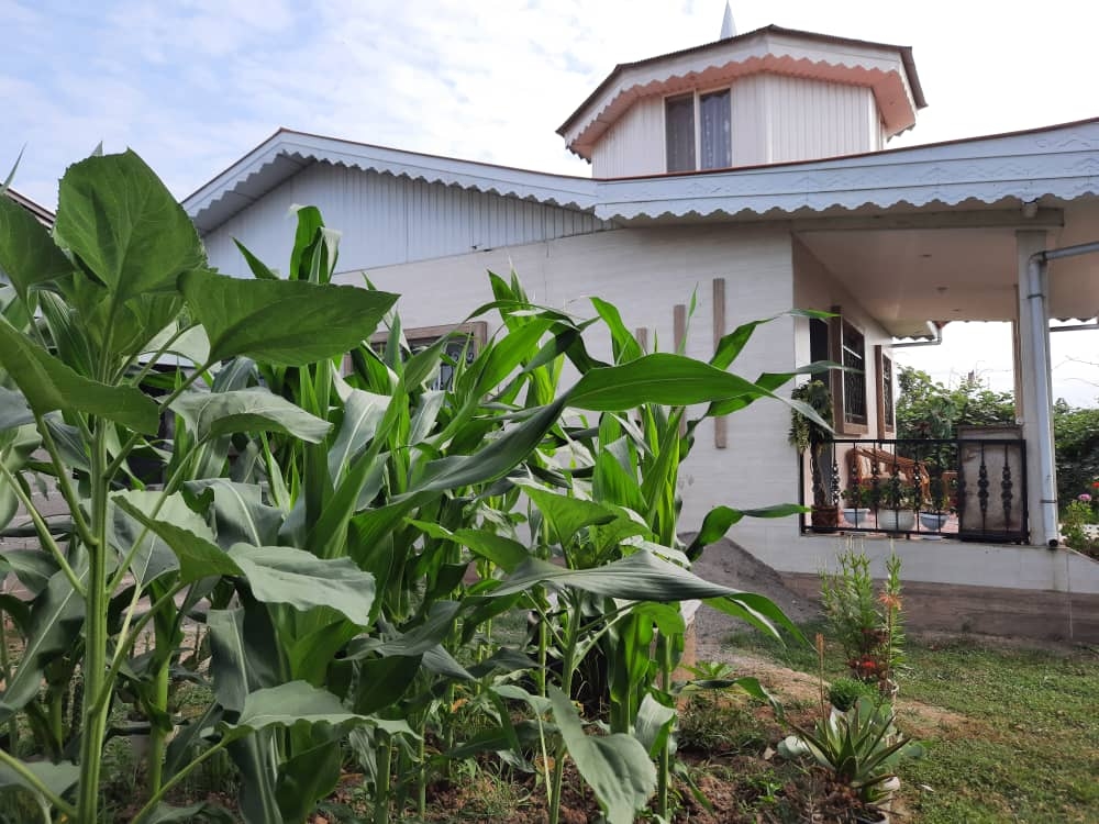اجاره ویلا با استخر سرپوشیده آبگرم در روستای باغبانان فومن