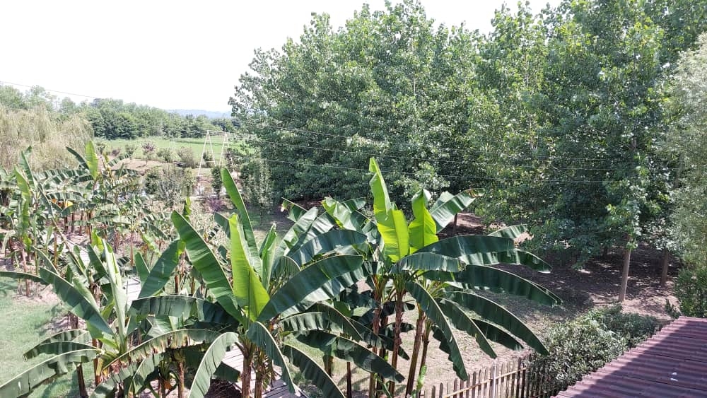 اجاره کلبه دوبلکس در روستای دلیجان - صدرای دو