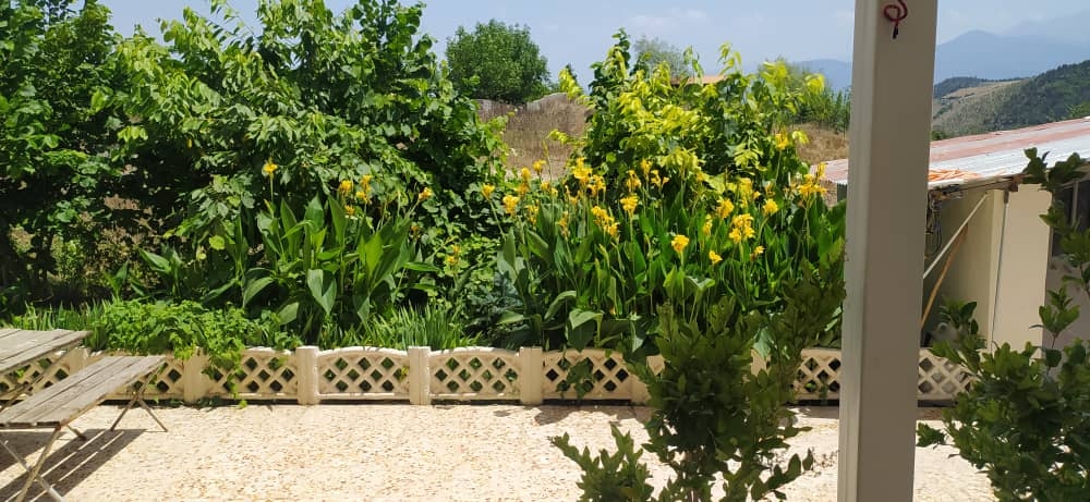 اجاره سوئیت جنگلی نزدیک به دریاچه ولشت - سوئیت 2