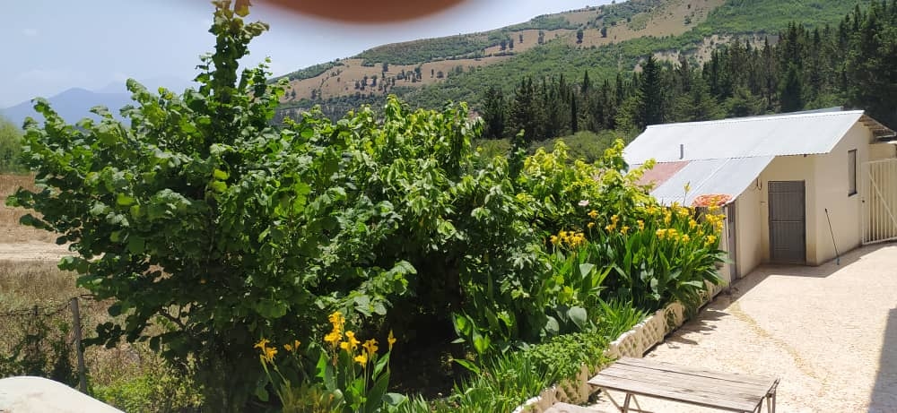 اجاره سوئیت جنگلی نزدیک دریاچه ولشت - سوئیت 3