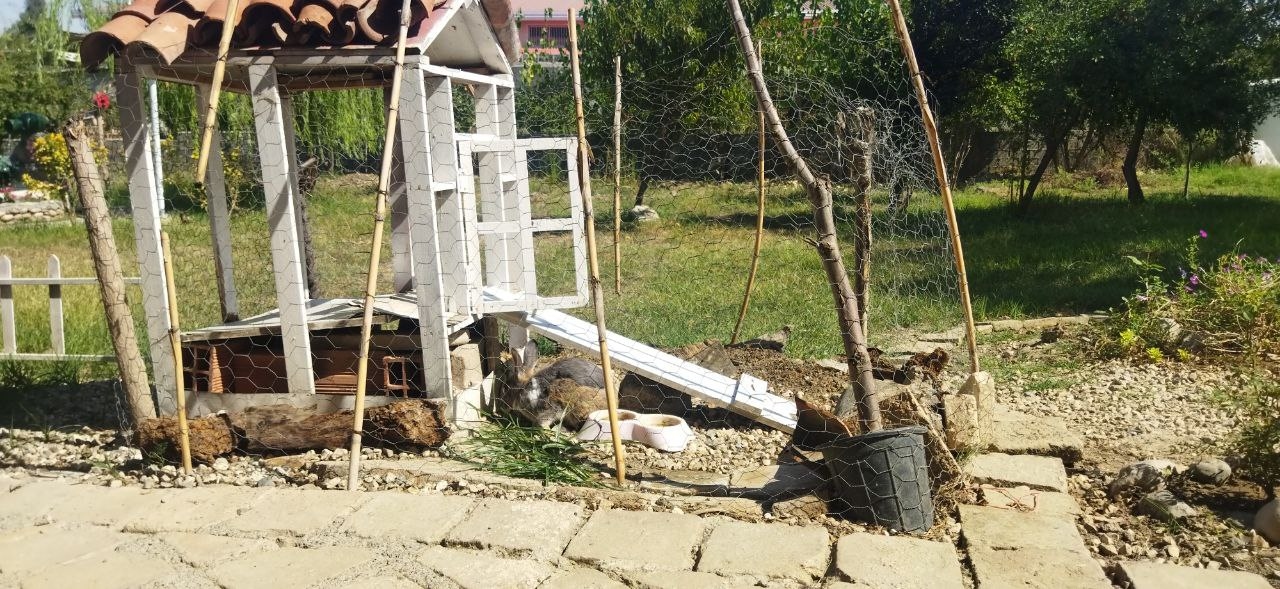 اجاره سوئیت بومگردی در گرگان - 30متر