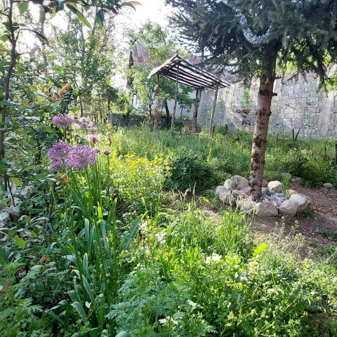 اجاره خانه جنگلی سنتی در سنگده پل سفید - استوا