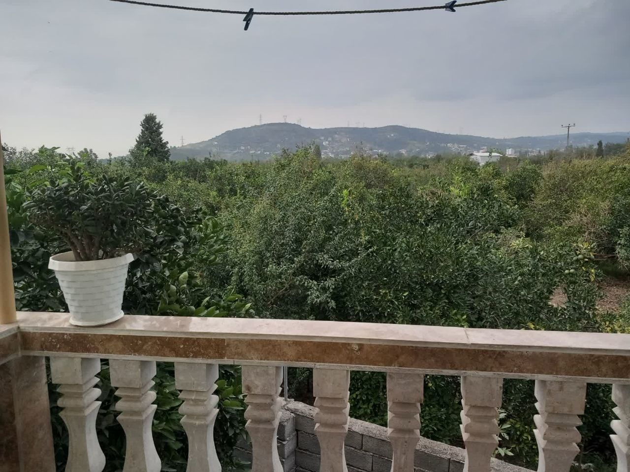 اجاره ویلا جنگلی در کلاریکلا