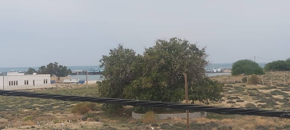 اجاره آپارتمان ساحلی در بندر شیوء پارسیان
