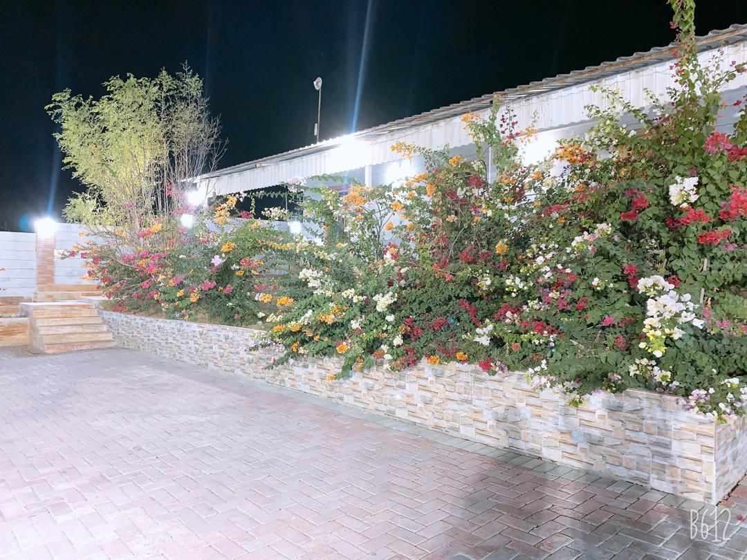 اجاره ویلا استخر روباز آب سرد در روستای دشت امام بندرعباس